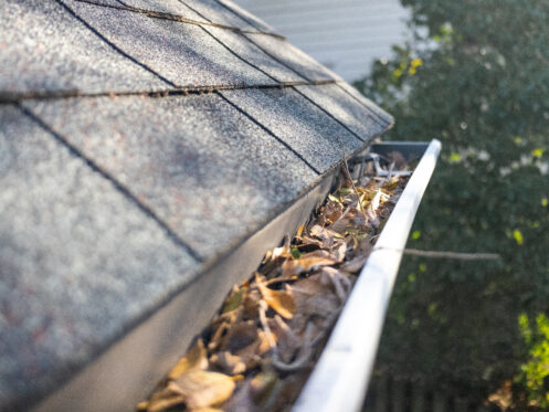A gutter filled with debris in Roseville, CA
