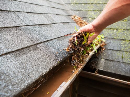 Roof Maintenance in Roseville, CA