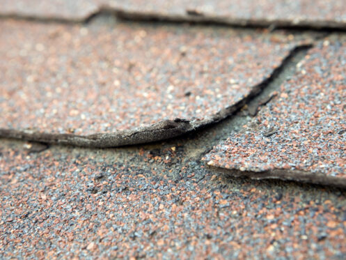 Weathered and Damaged House Shingle